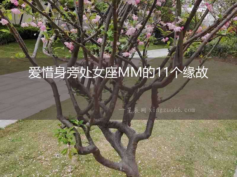 愛惜身旁處女座MM的11個(gè)緣故