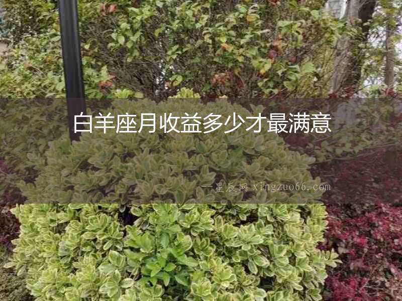 白羊座月收益多少才最滿意