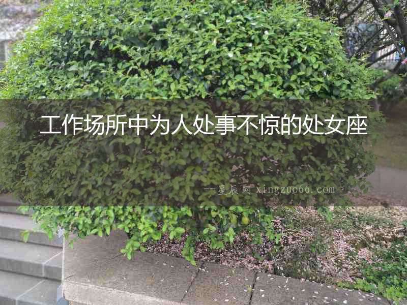 工作場所中為人處事不驚的處女座