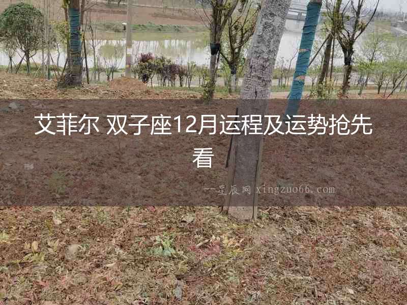艾菲爾 雙子座12月運(yùn)程及運(yùn)勢(shì)搶先看
