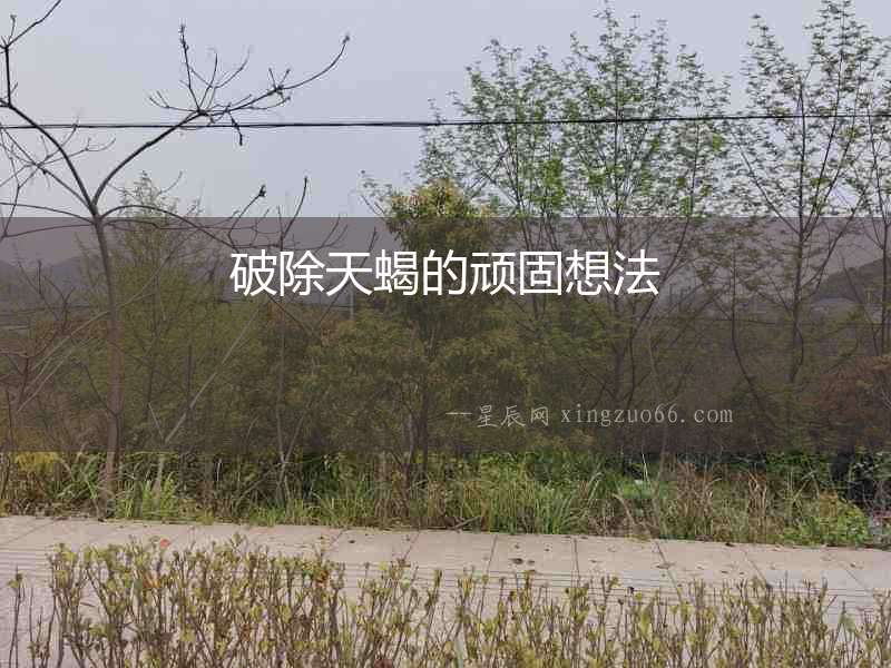 破除天蝎的頑固想法