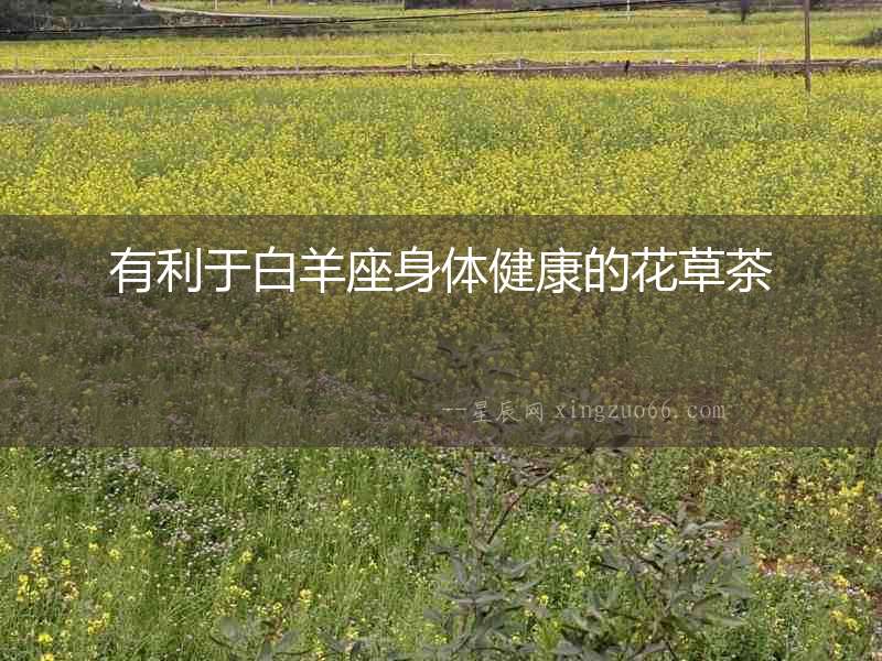 有利于白羊座身體健康的花草茶