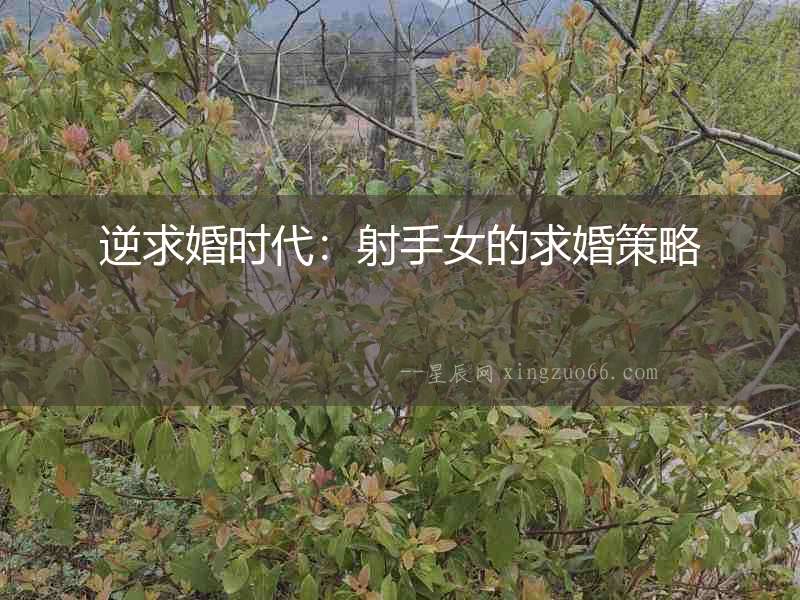 逆求婚時代：射手女的求婚策略