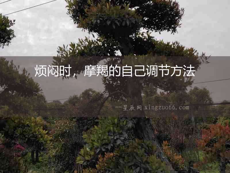 煩悶時，摩羯的自己調節方法