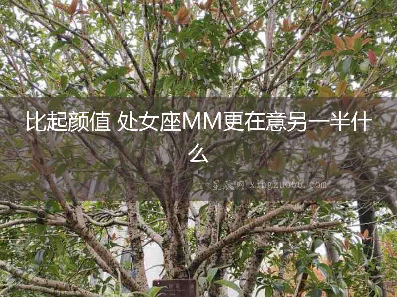 比起顏值 處女座MM更在意另一半什么