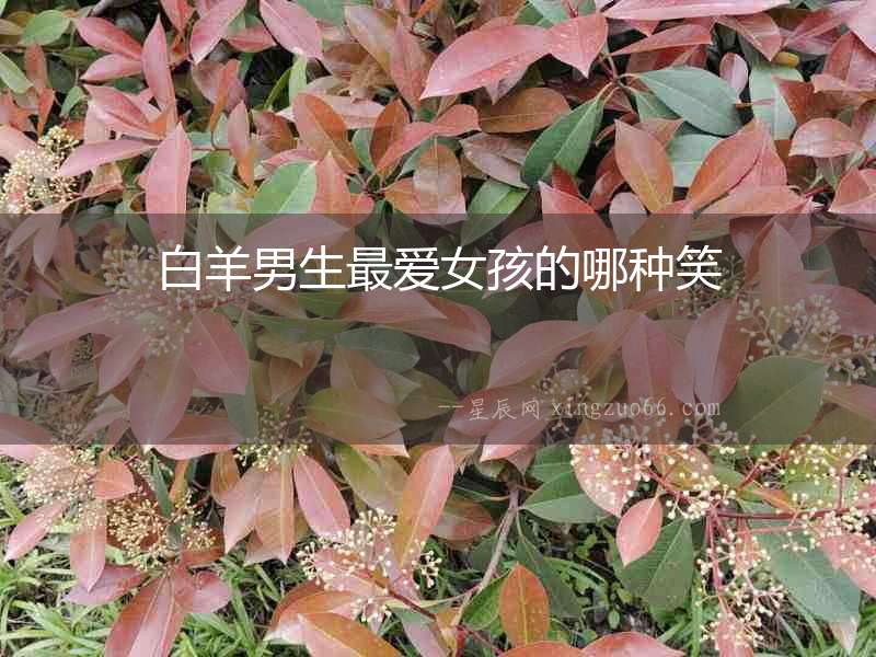 白羊男生最愛女孩的哪種笑