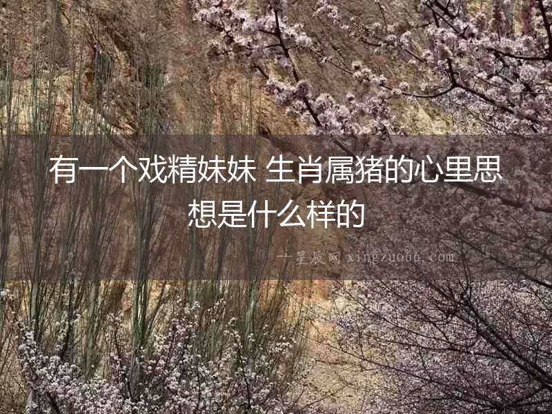 有一個戲精妹妹 生肖屬豬的心里思想是什么樣的