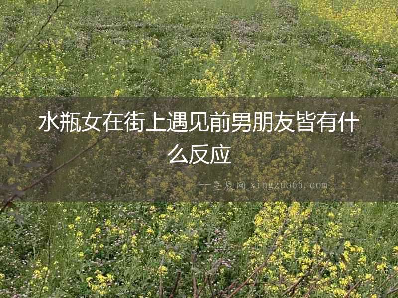 水瓶女在街上遇見前男朋友皆有什么反應