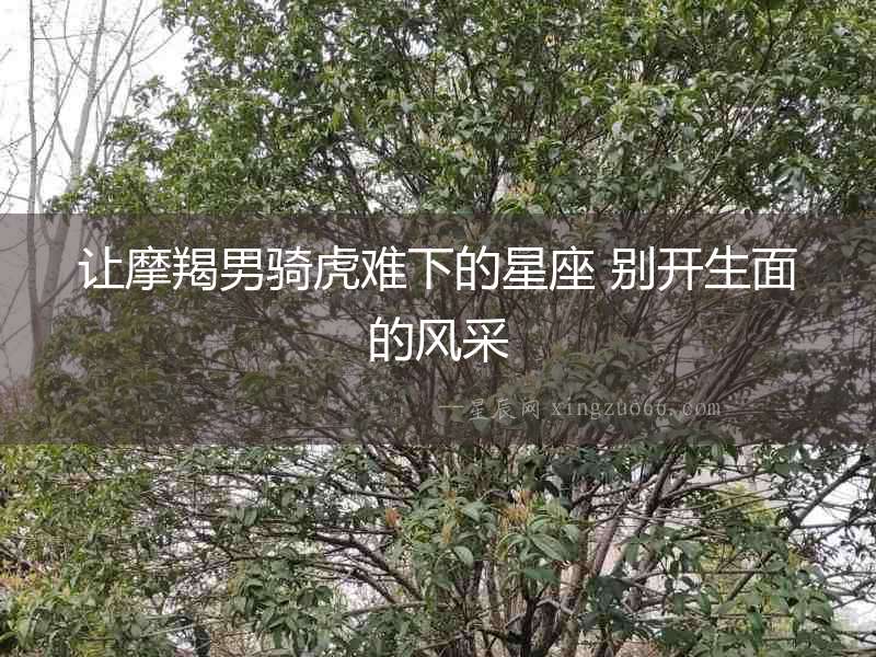 讓摩羯男騎虎難下的星座 別開生面的風采