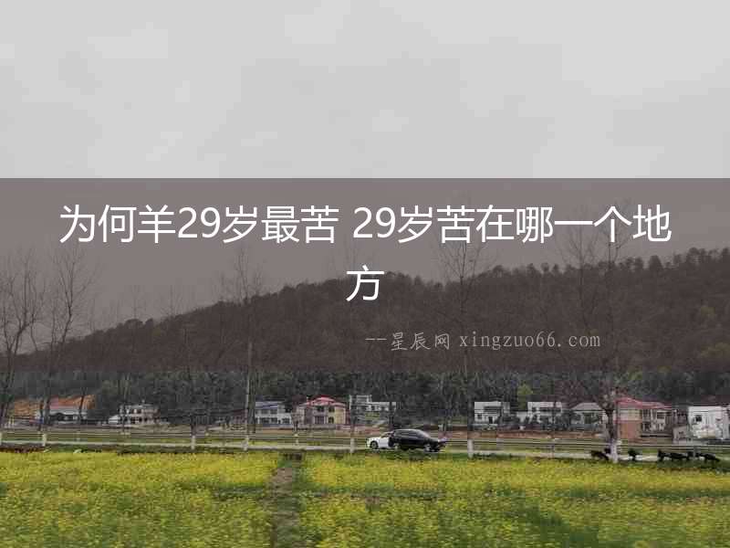 為何羊29歲最苦 29歲苦在哪一個地方