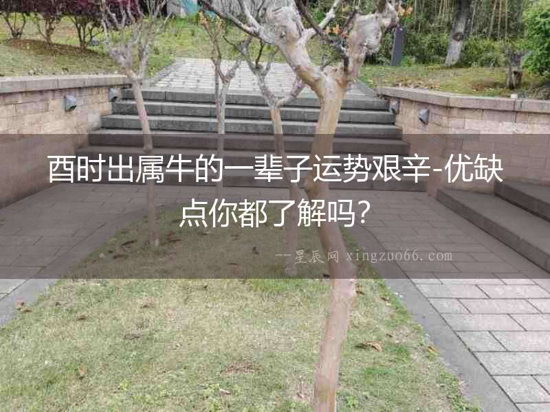 酉時出屬牛的一輩子運勢艱辛-優缺點你都了解嗎？