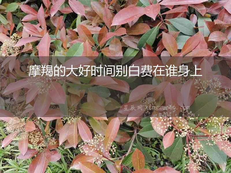 摩羯的大好時間別白費在誰身上
