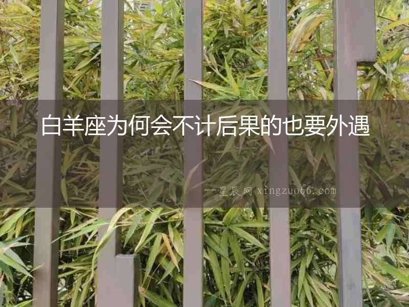 白羊座為何會不計后果的也要外遇