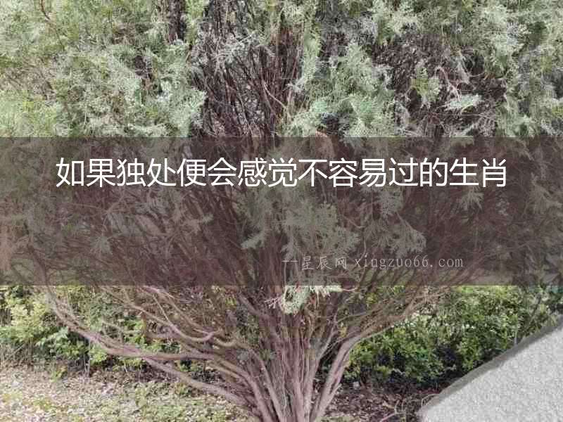 如果獨處便會感覺不容易過的生肖