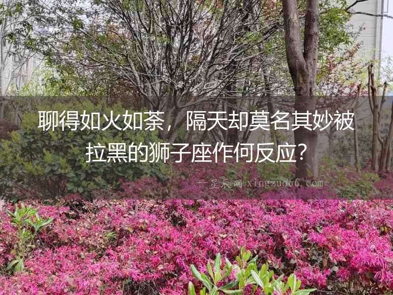 聊得如火如荼，隔天卻莫名其妙被拉黑的獅子座作何反應(yīng)？
