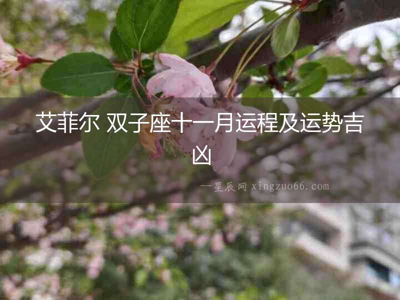 艾菲爾 雙子座十一月運程及運勢吉兇