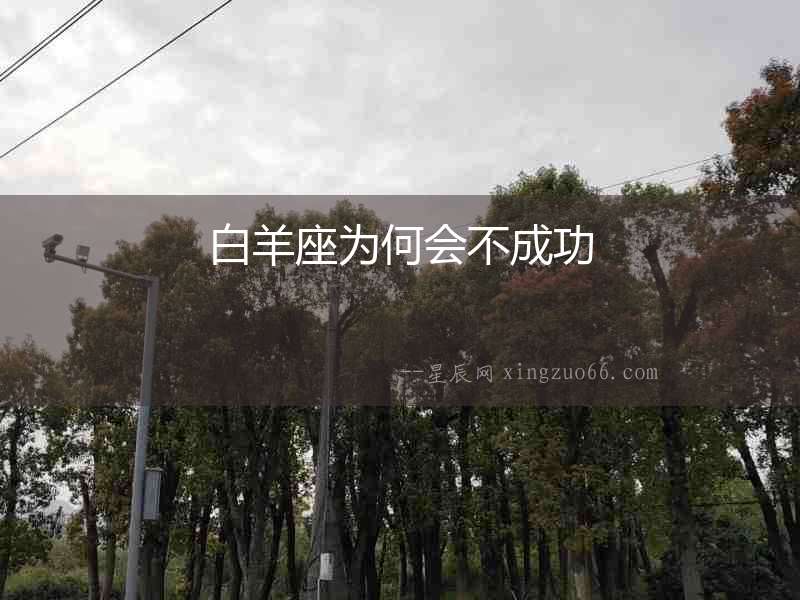白羊座為何會(huì)不成功