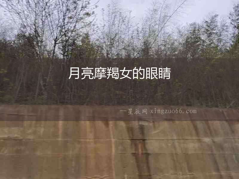 月亮摩羯女的眼睛