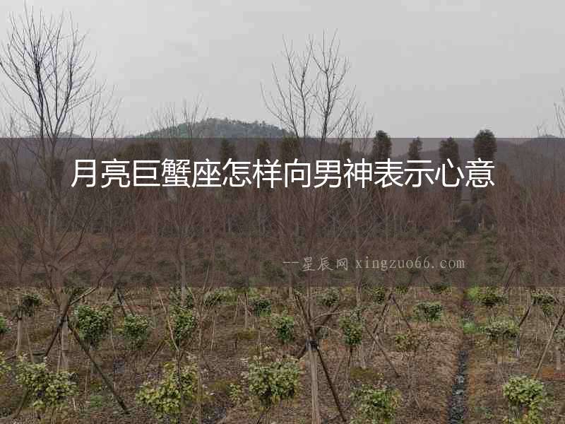 月亮巨蟹座怎樣向男神表示心意