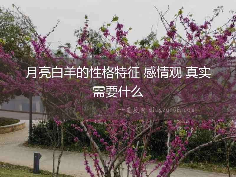 月亮白羊的性格特征 感情觀 真實需要什么