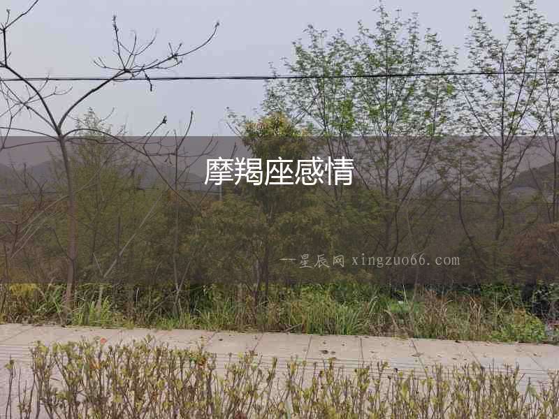 摩羯座感情