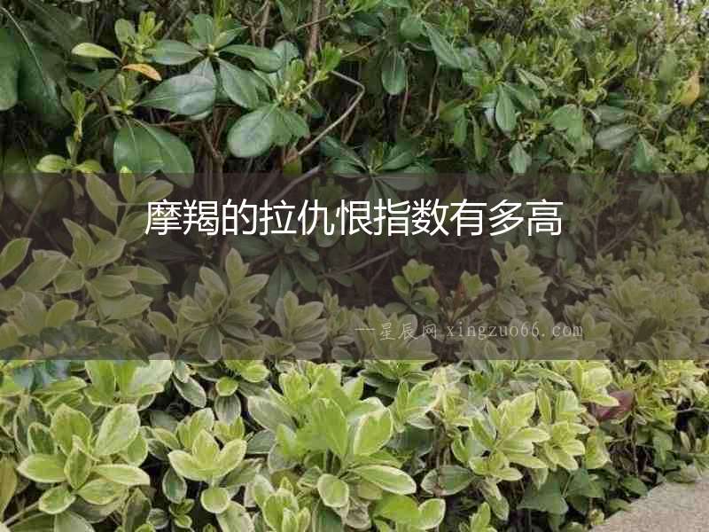 摩羯的拉仇恨指數(shù)有多高
