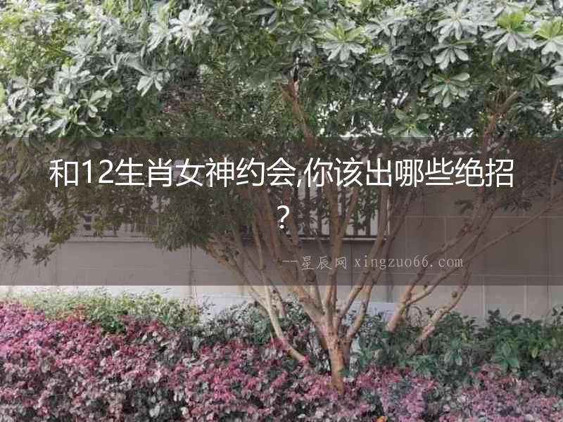 和12生肖女神約會,你該出哪些絕招？