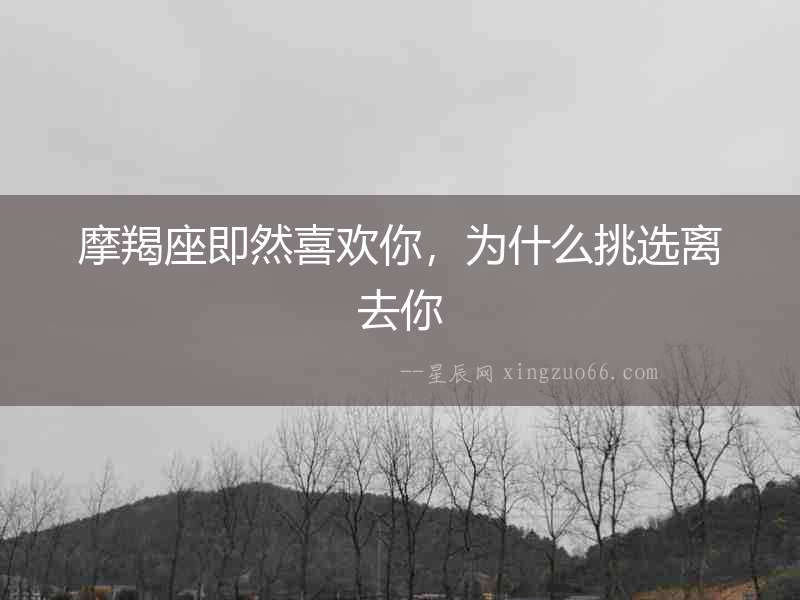 摩羯座即然喜歡你，為什么挑選離去你