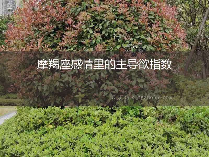 摩羯座感情里的主導欲指數