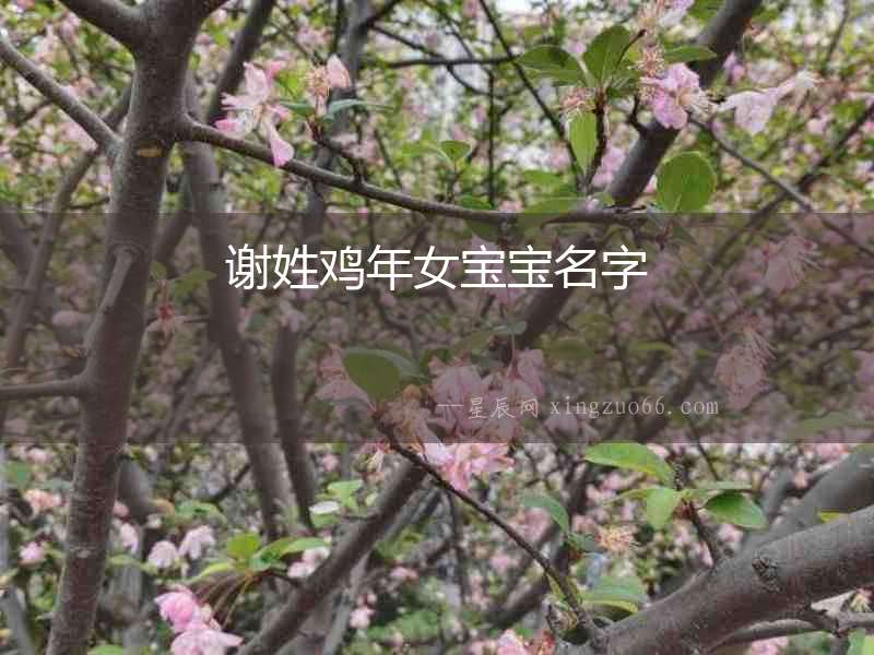 謝姓雞年女寶寶名字