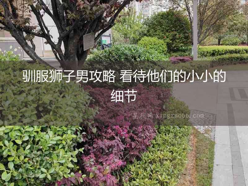 馴服獅子男攻略 看待他們的小小的細節(jié)