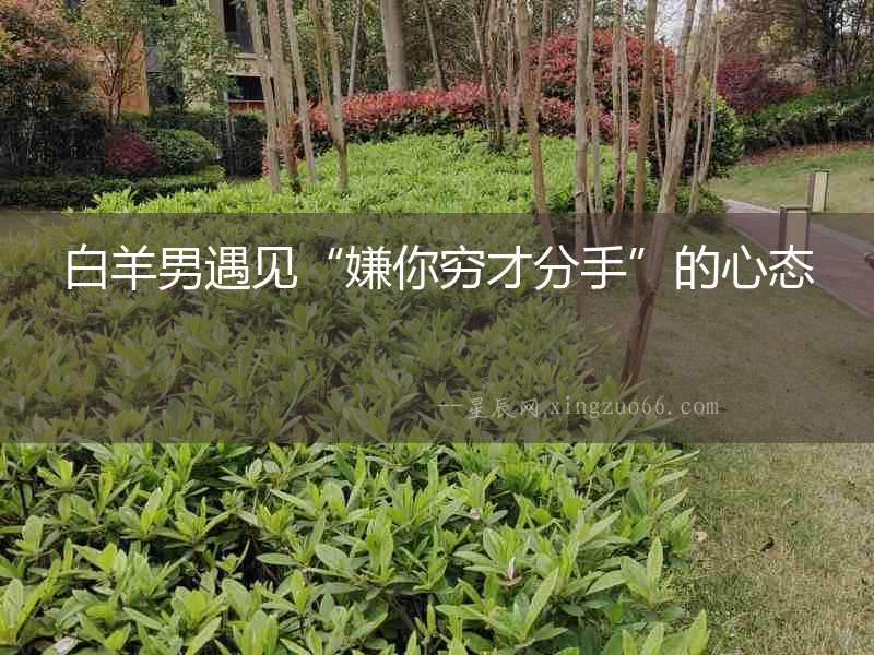 白羊男遇見“嫌你窮才分手”的心態