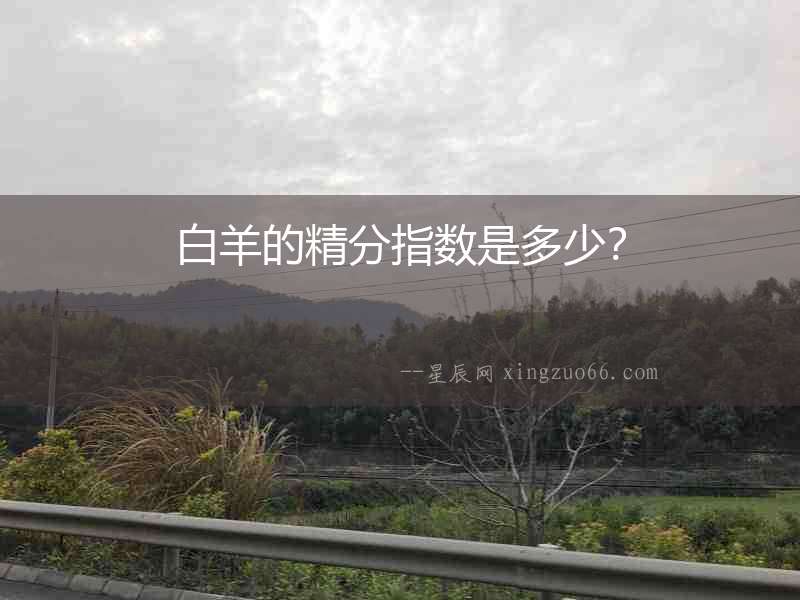 白羊的精分指數是多少？
