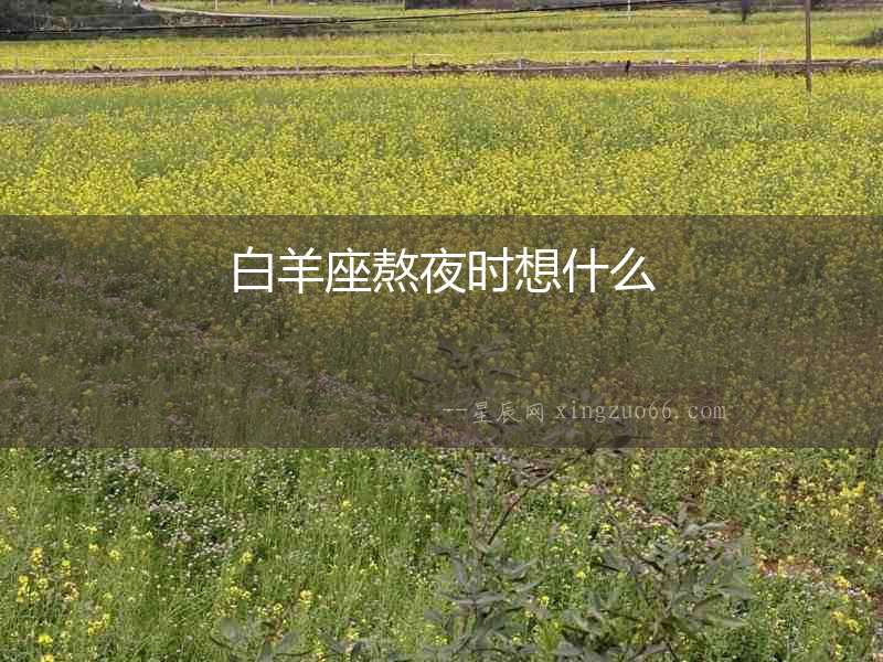 白羊座熬夜時想什么