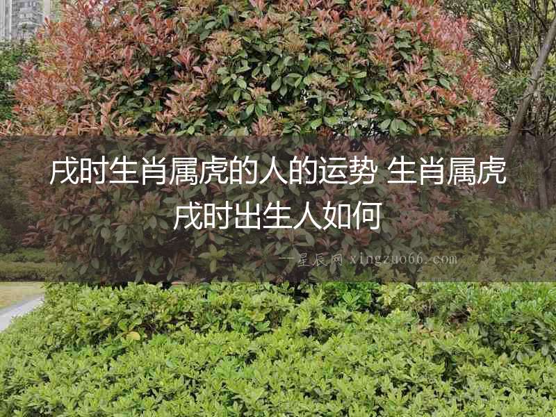 戌時生肖屬虎的人的運勢 生肖屬虎戌時出生人如何