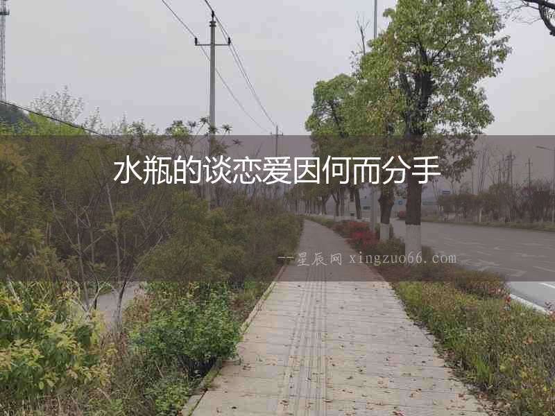 水瓶的談戀愛因何而分手