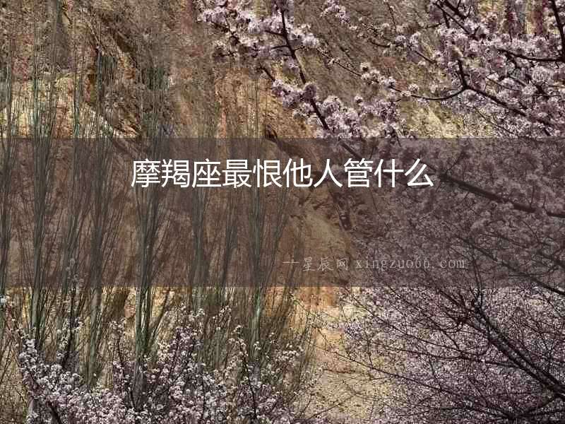 摩羯座最恨他人管什么