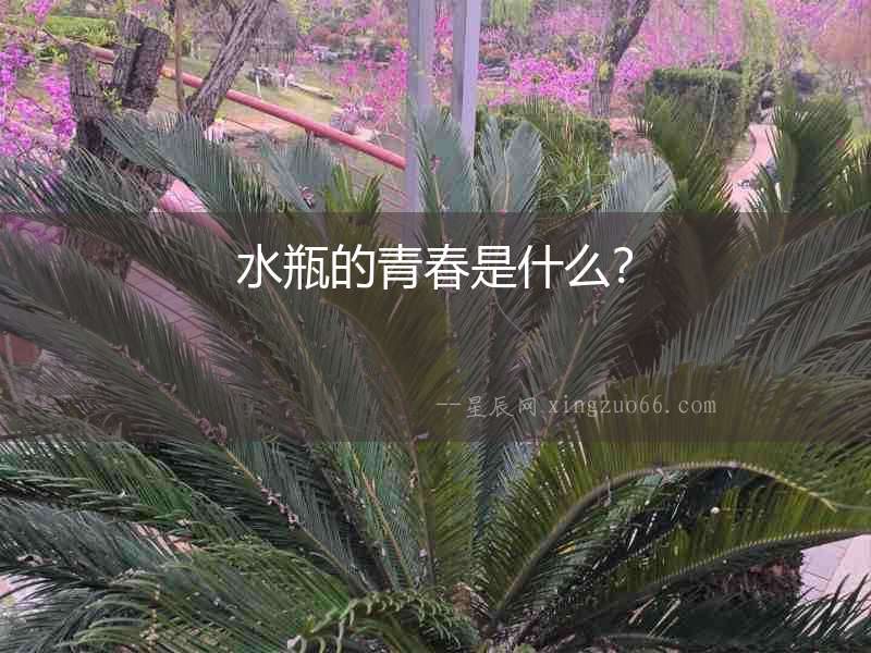 水瓶的青春是什么？