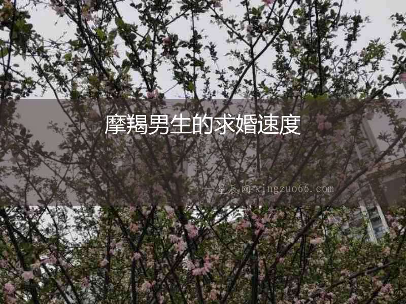 摩羯男生的求婚速度