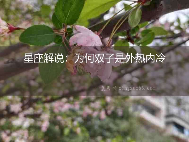 星座解說：為何雙子是外熱內冷