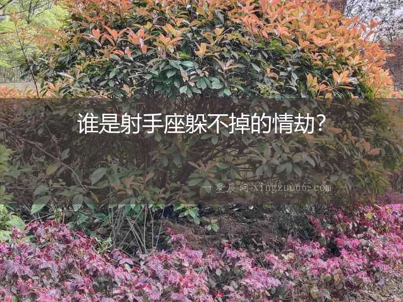 誰是射手座躲不掉的情劫？