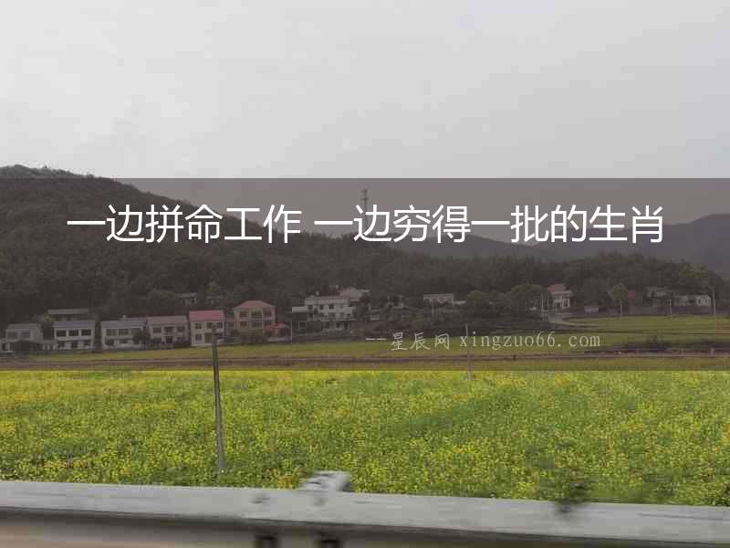 一邊拼命工作 一邊窮得一批的生肖