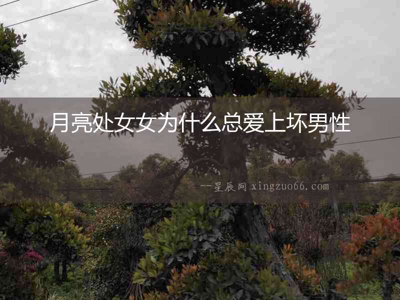 月亮處女女為什么總愛上壞男性