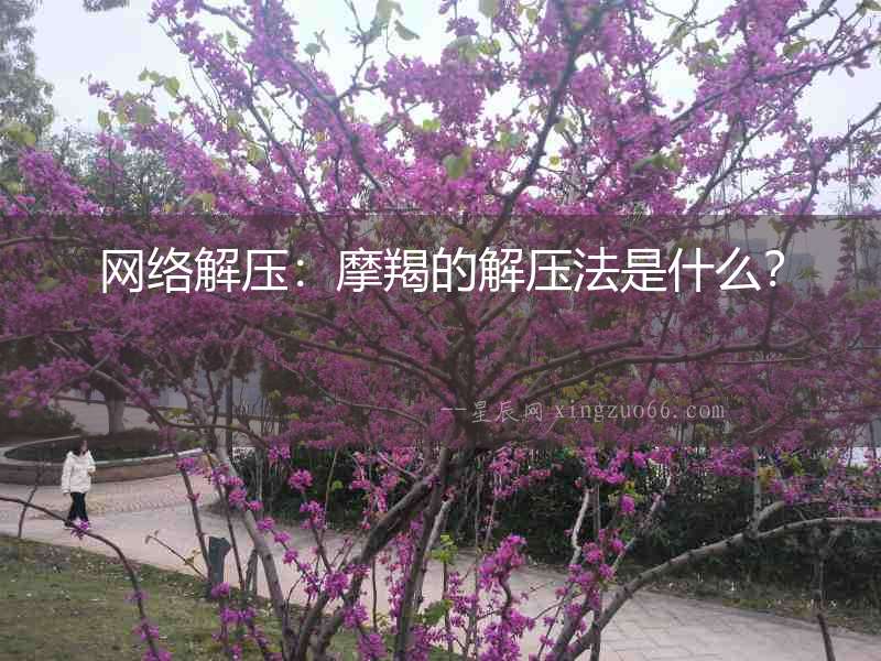 網絡解壓：摩羯的解壓法是什么？