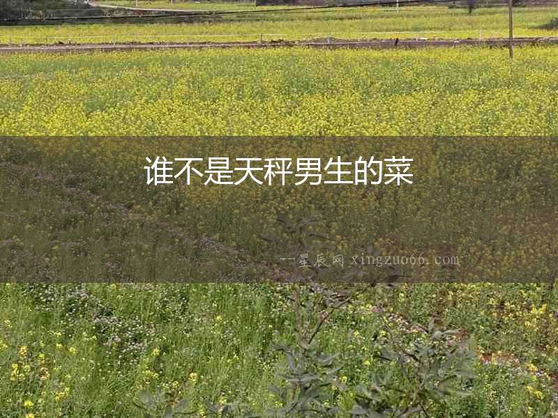 誰不是天秤男生的菜