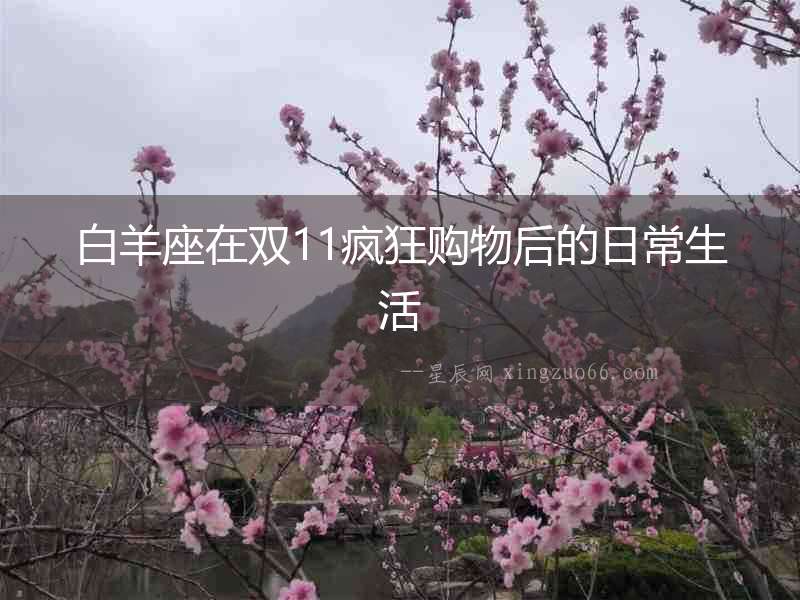 白羊座在雙11瘋狂購物后的日常生活