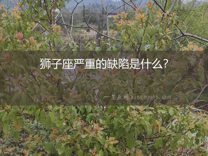 獅子座嚴(yán)重的缺陷是什么？