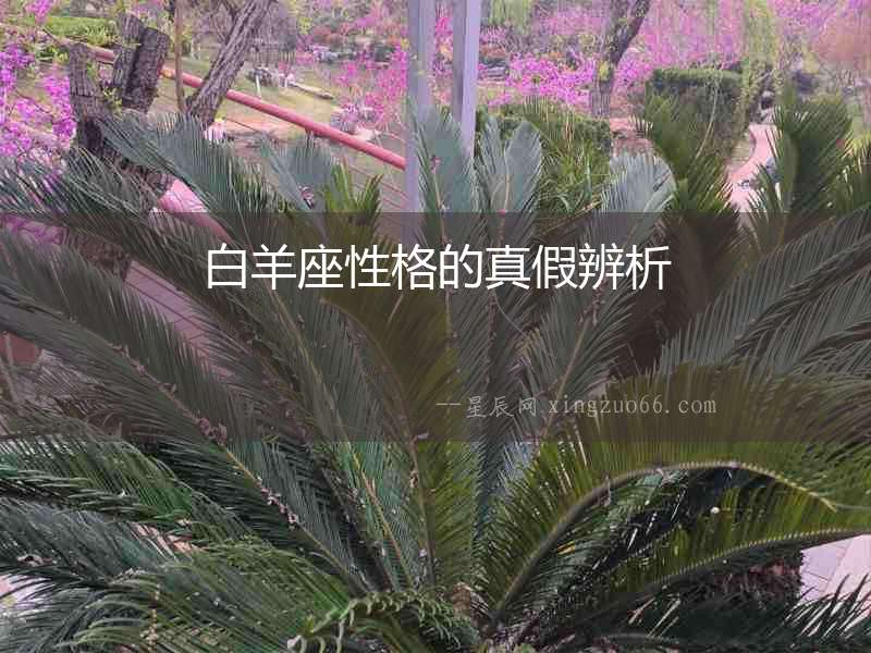 白羊座性格的真假辨析