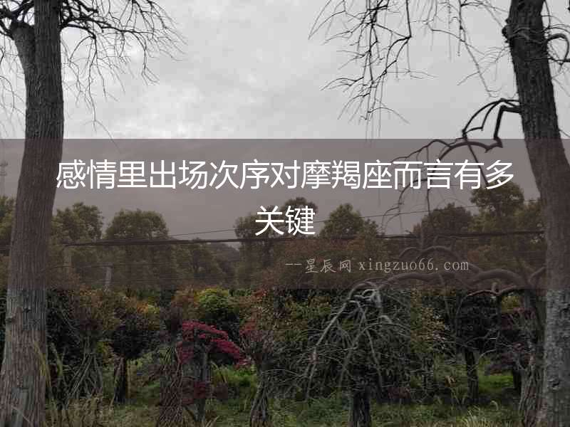 感情里出場次序對摩羯座而言有多關鍵
