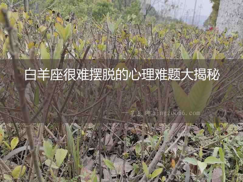 白羊座很難擺脫的心理難題大揭秘